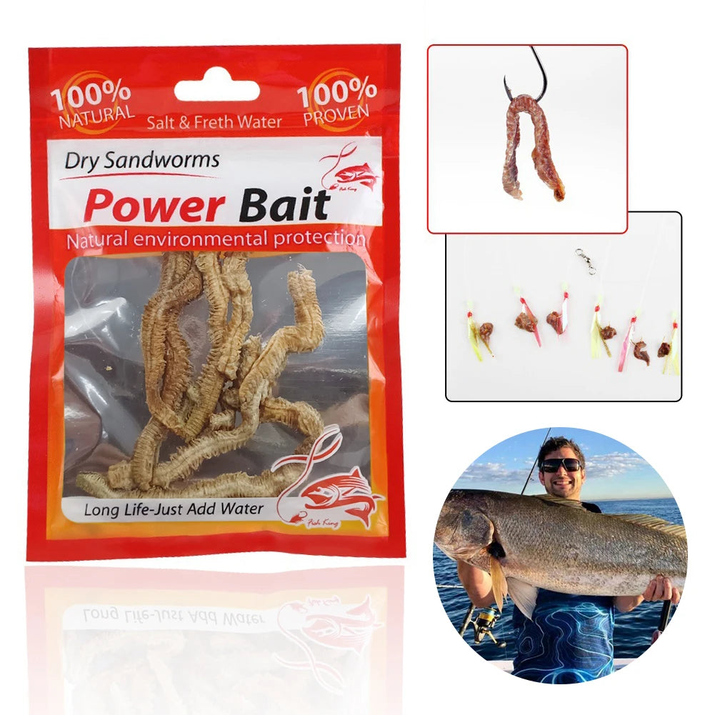 Dry Sandworms Fishing Lures Fishy Smell Lures Lifelike Dry Lugworm for Saltwater Freshwater Fishing