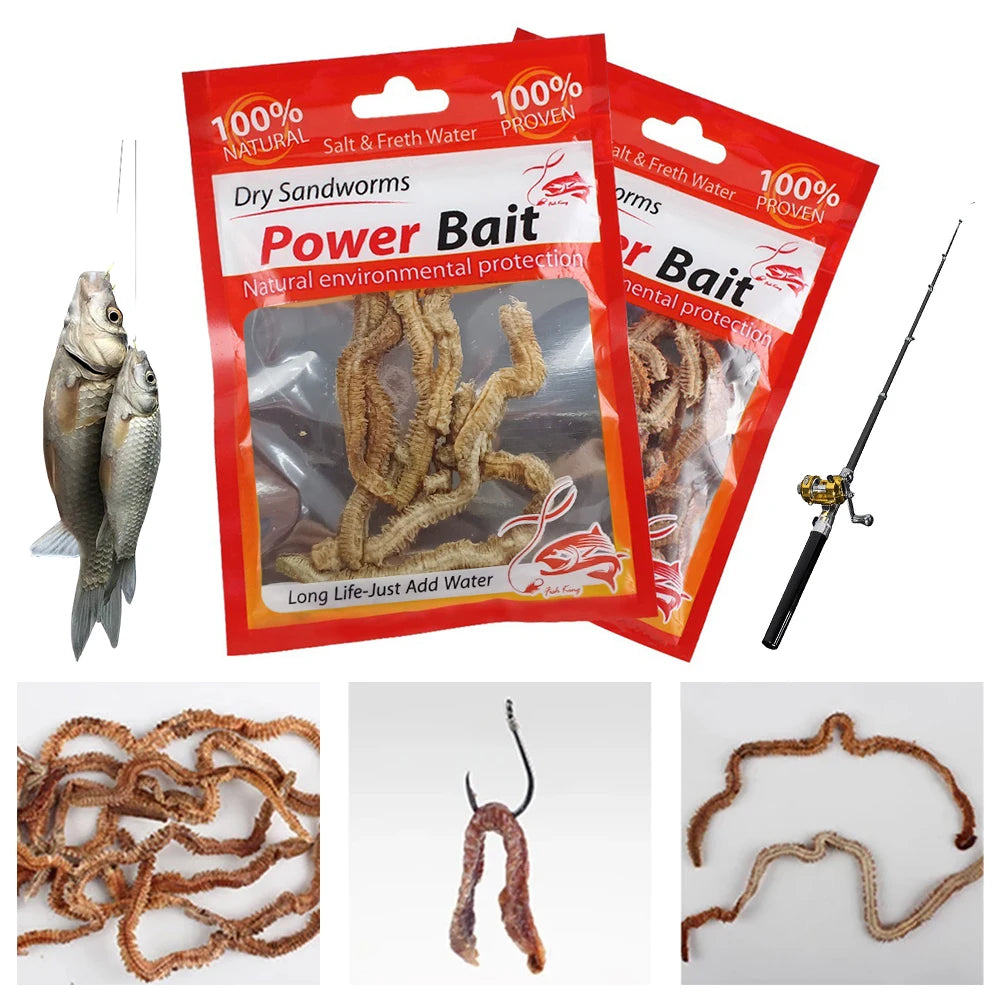 Dry Sandworms Fishing Lures Fishy Smell Lures Lifelike Dry Lugworm for Saltwater Freshwater Fishing